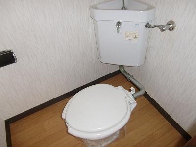 Toilet. It is a toilet with a clean. 