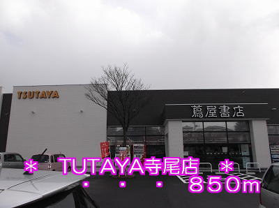 Rental video. TSUTAYA Terao 850m to the store (video rental)