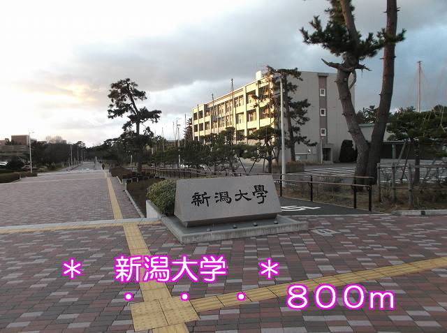 University ・ Junior college. Niigata University (University of ・ 800m up to junior college)