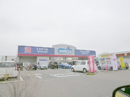 Dorakkusutoa. Uerushia Niigata pre-university shop 676m until (drugstore)