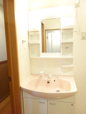 Washroom. Vanity with shower