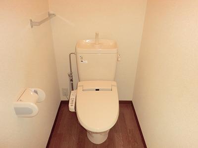 Toilet. It is a toilet with a heated cleaning toilet seat