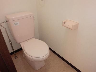 Toilet. It is a toilet with a clean. 