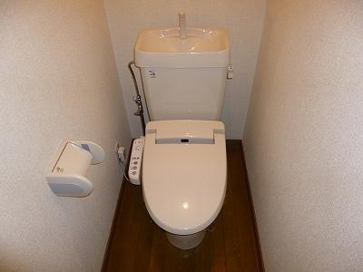 Toilet. WC of Washlet