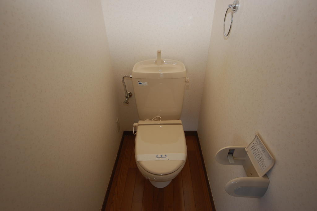 Toilet. It will be warm water washing toilet seat