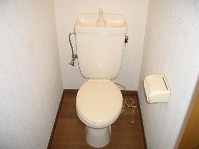 Toilet. It is a beautiful toilet with cleanliness. 