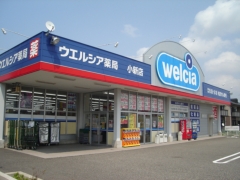 Dorakkusutoa. Uerushia Niigata Coxim shop 1062m until (drugstore)