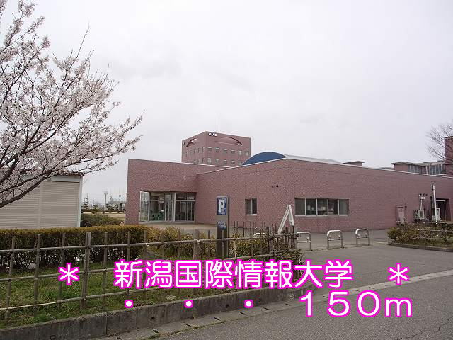 University ・ Junior college. Niigata University of International and Information Studies (University of ・ 150m up to junior college)