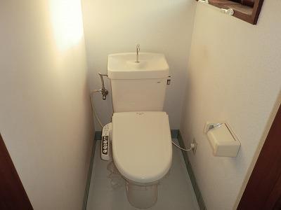 Toilet. There is also a window with a bidet