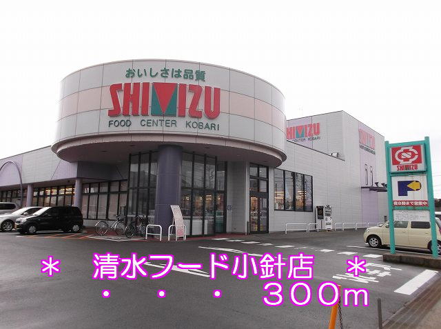 Supermarket. 300m until Shimizu Food small hand store (Super)