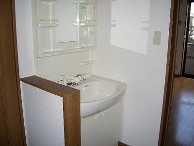 Washroom. Shampoo dresser with