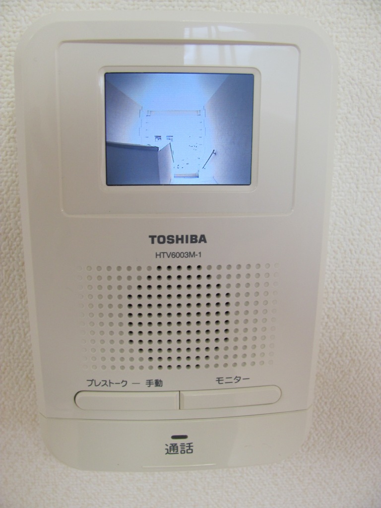 Security. TV monitor with intercom