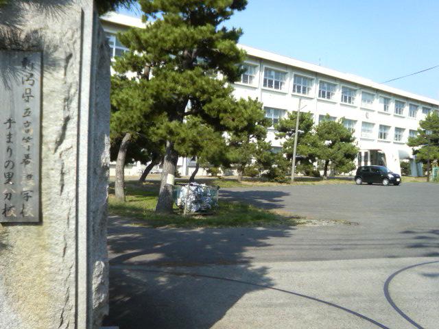 Government office. Niigata Prefecture facility