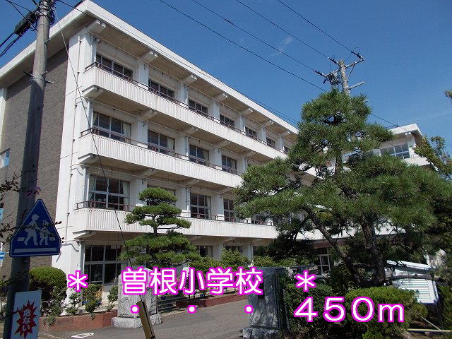 Primary school. Sone 400m up to elementary school (elementary school)