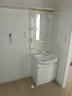 Washroom. Shampoo dresser