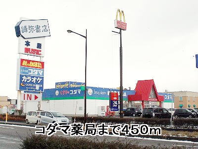 Dorakkusutoa. Kodama 450m until (drugstore)