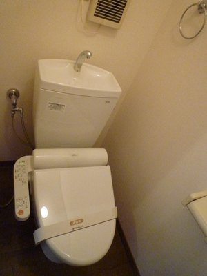 Toilet. I am happy with bidet