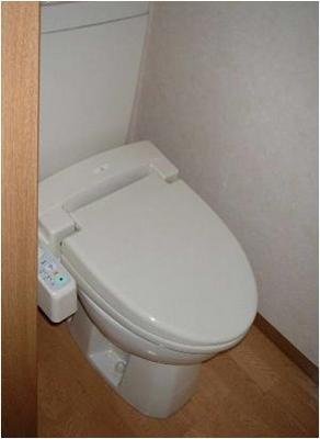 Toilet. Of course, also comes with a bidet