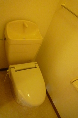 Toilet. Glad to cold winter Washlet