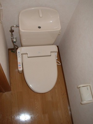 Toilet. Of course, also comes with a bidet