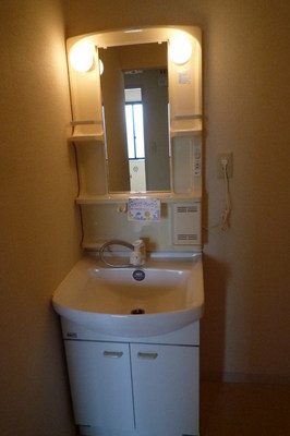 Washroom. Dressing Ease wash basin with a shower