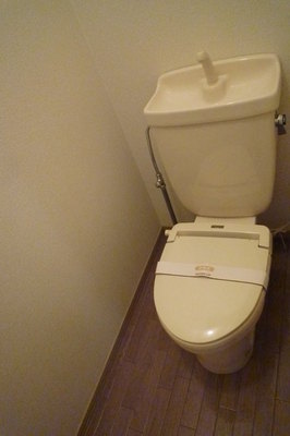 Toilet. There was also a cold winter in the heating toilet seat