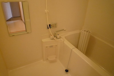 Bath. Tub combination with add-fired function