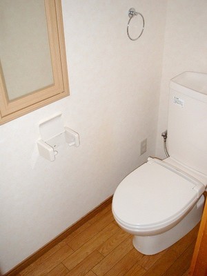 Toilet. It is a toilet with a clean