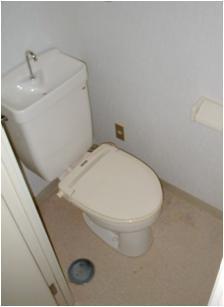 Toilet. It is a toilet with a clean