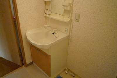 Washroom. Large is a wash basin