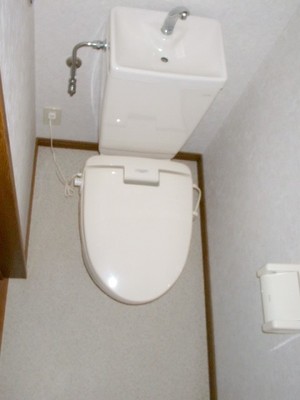 Toilet. It is a toilet with a clean