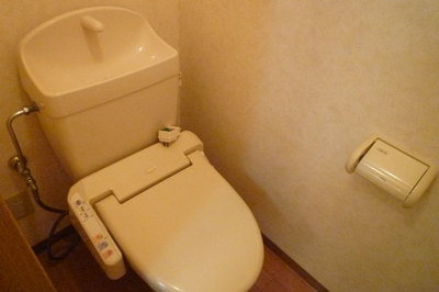 Toilet. Toilet with a bidet