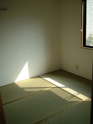 Living and room. Sunny Japanese-style room