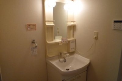 Washroom. It is convenient to the dressing in a large washbasin