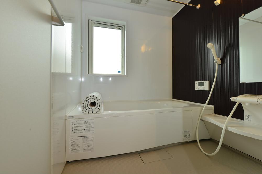 Bathroom. Indoor (June 2013) Shooting