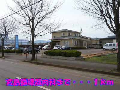 Hospital. Miyajima 1000m until Cardiology (hospital)
