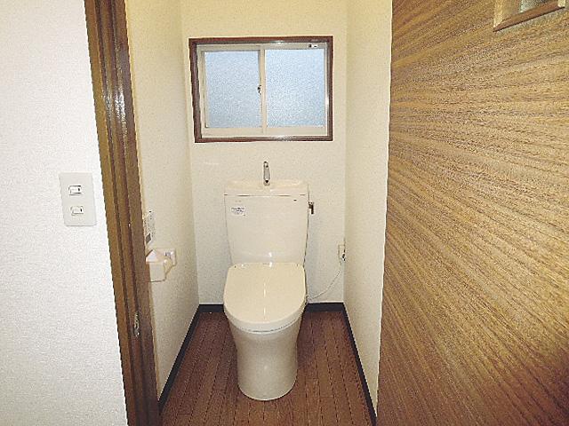 Toilet. Auto open and close cleaning toilet