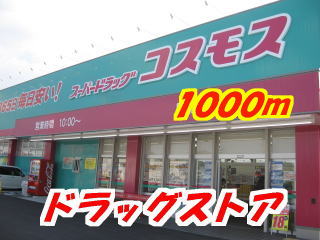 Dorakkusutoa. Drugstore Cosmos Date Roh opened 1000m until (drugstore)