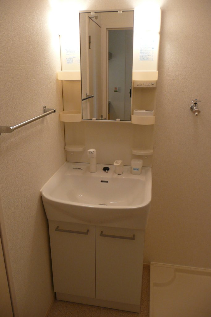 Washroom. Shampoo dresser