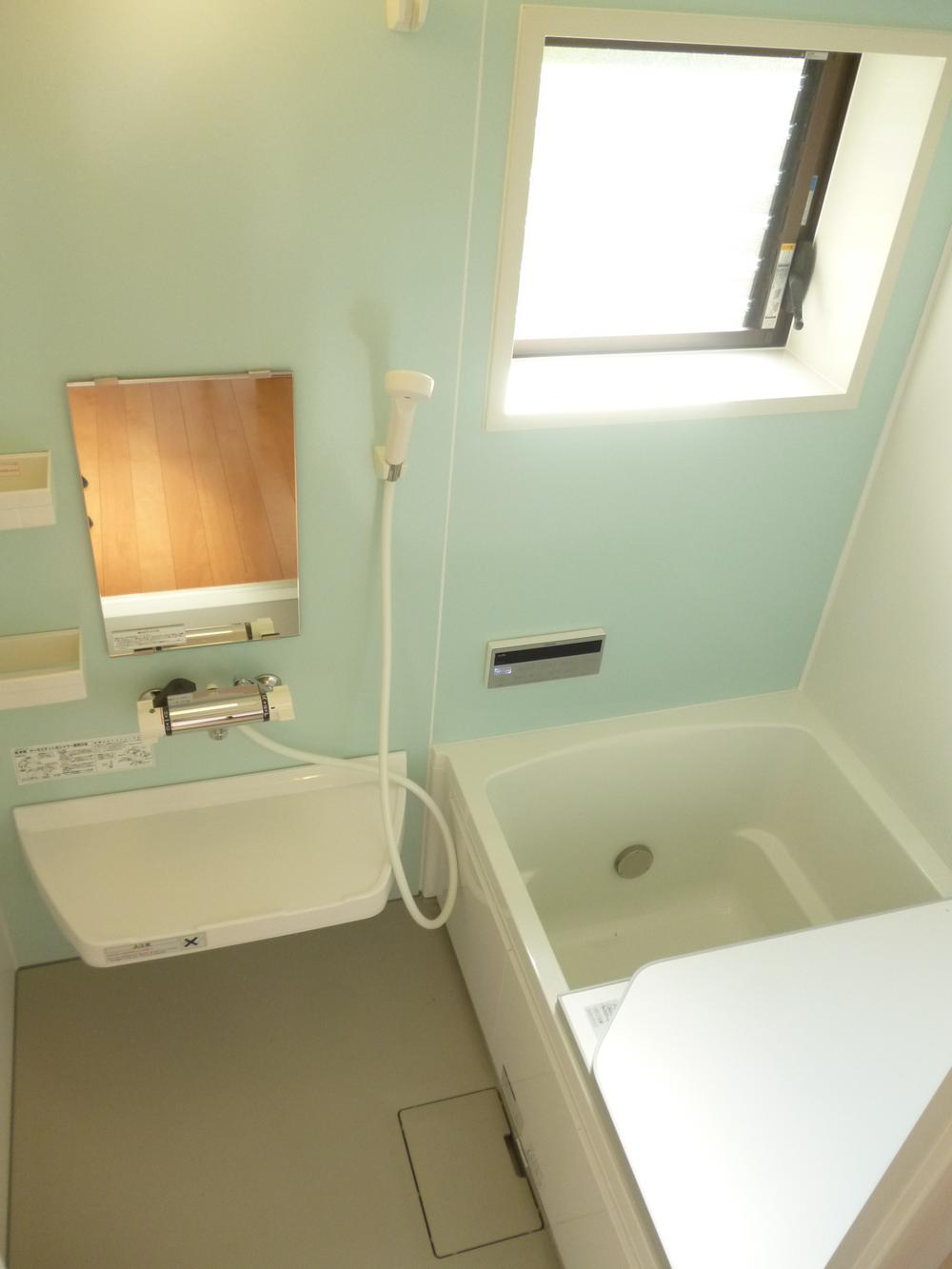 Bathroom. Lovely tint of impressive accent panel bathroom ☆ 