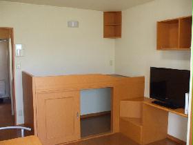 Living and room. Bed is also equipped with a spacious living room