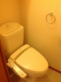 Toilet. There is also a heated toilet seat.