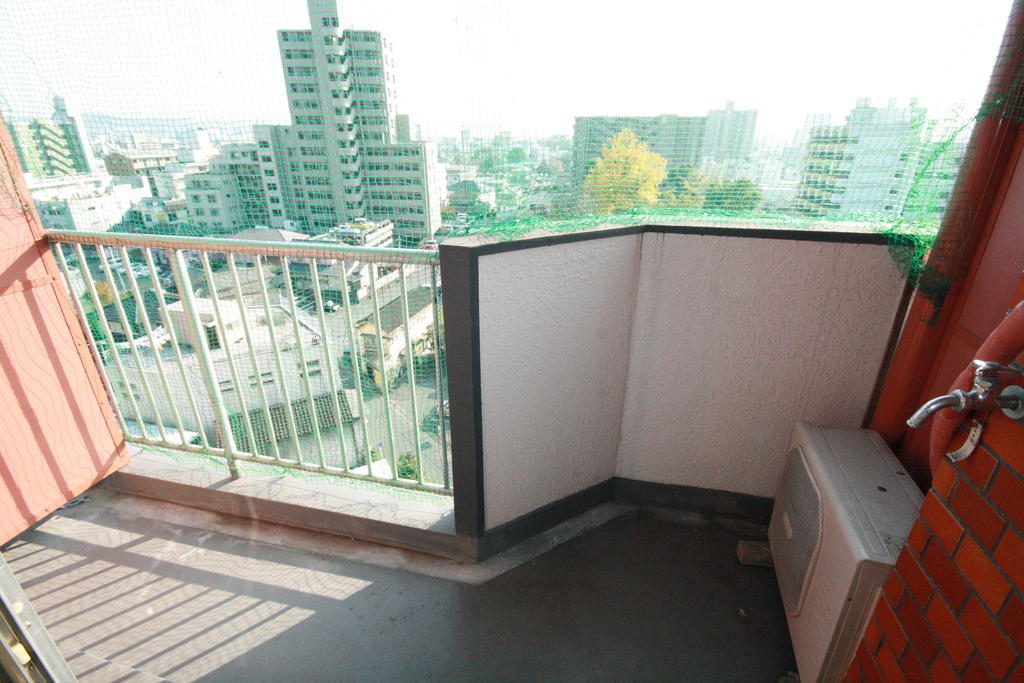 View. High-rise floor south-facing