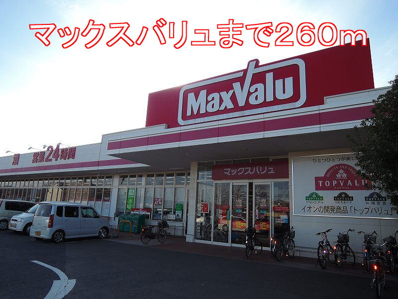 Supermarket. Maxvalu until the (super) 260m
