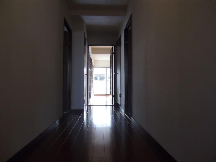 Other introspection. Spacious corridor extending from the entrance to the living room