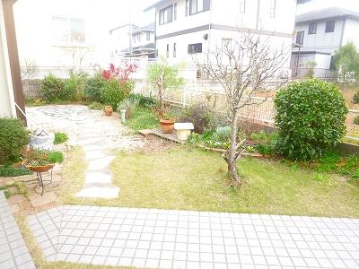 Garden. Local (12 May 2012) shooting