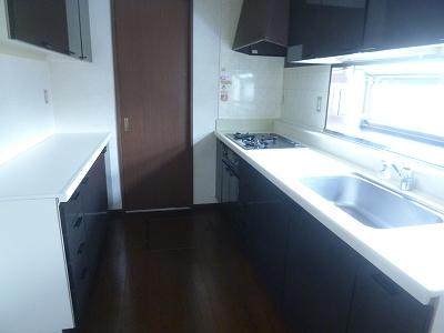 Kitchen. Indoor (12 May 2012) shooting