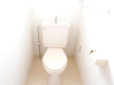Toilet. Indoor (12 May 2012) shooting