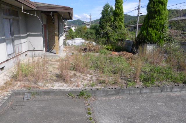 Garden. South side garden space