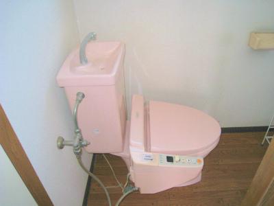 Toilet. Indoor (April 2012) shooting